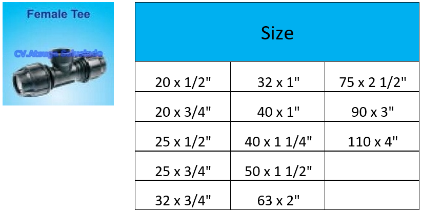 female-tee